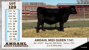 Lot #129 - AMDAHL MISS QUEEN 1141