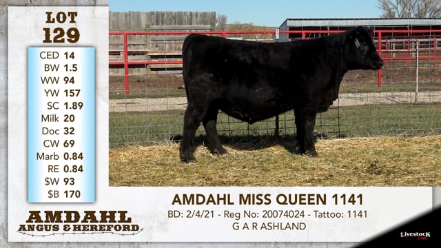 Lot #129 - AMDAHL MISS QUEEN 1141