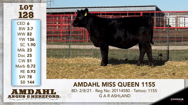 Lot #128 - AMDAHL MISS QUEEN 1155