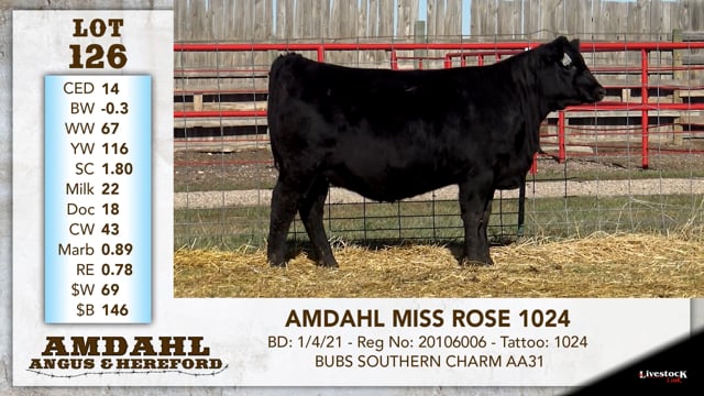 Lot #126 - AMDAHL MISS ROSE 1024