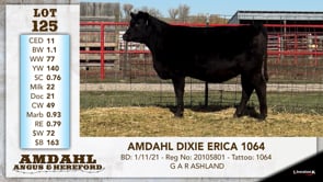 Lot #125 - AMDAHL DIXIE ERICA 1064
