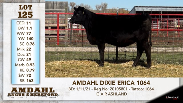 Lot #125 - AMDAHL DIXIE ERICA 1064