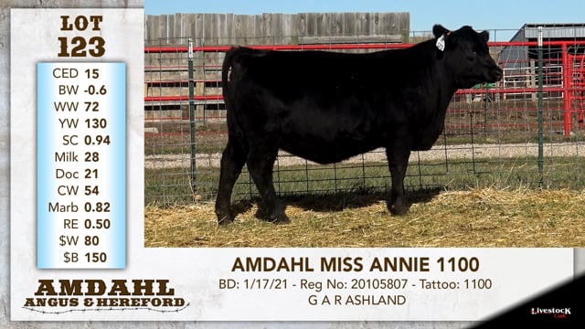 Lot #123 - AMDAHL MISS ANNIE 1100