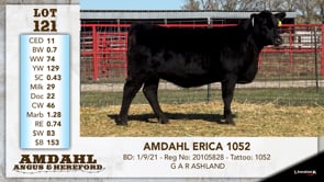 Lot #121 - AMDAHL ERICA 1052