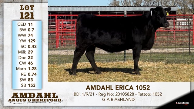 Lot #121 - AMDAHL ERICA 1052