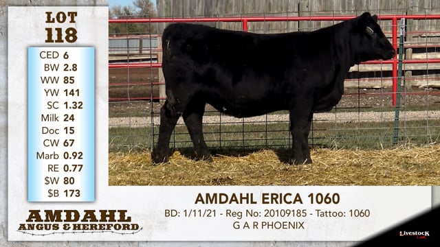 Lot #118 - AMDAHL ERICA 1060