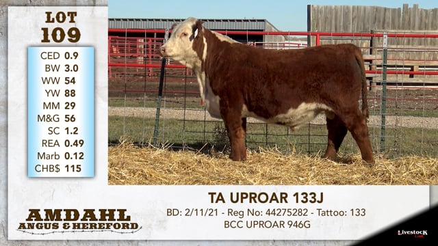 Lot #109 - TA UPROAR 133J