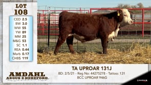 Lot #108 - TA UPROAR 131J