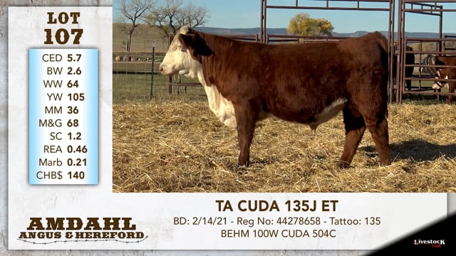 Lot #107 - TA CUDA 135J ET
