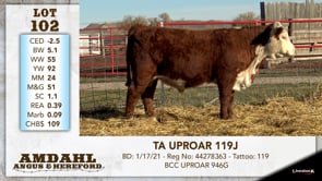 Lot #102 - TA UPROAR 119J