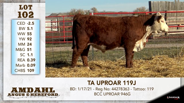 Lot #102 - TA UPROAR 119J