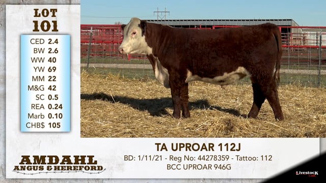 Lot #101 - TA UPROAR 112J