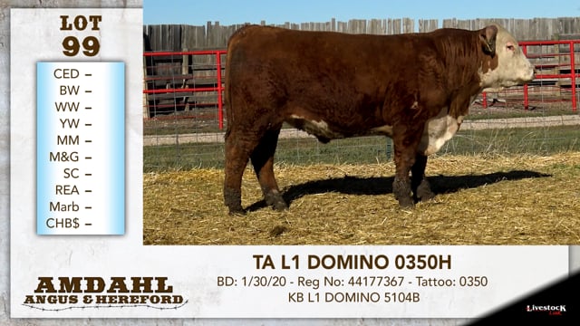 Lot #99 - TA L1 DOMINO 0350H