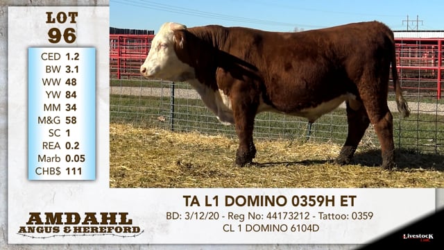 Lot #96 - TA L1 DOMINO 0359H ET