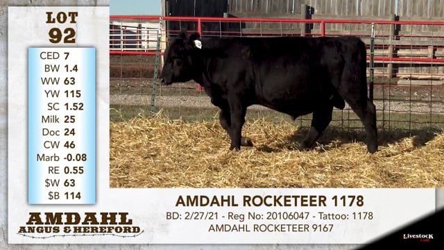 Lot #92 - AMDAHL ROCKETEER 1178