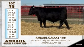 Lot #79 - AMDAHL GALAXY 1101