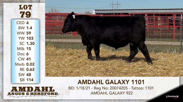 Lot #79 - AMDAHL GALAXY 1101
