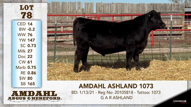 Lot #78 - AMDAHL ASHLAND 1073