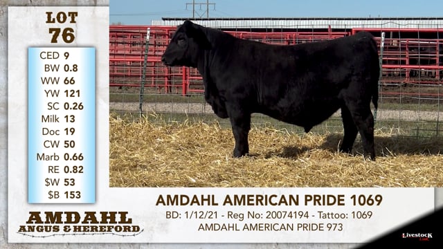 Lot #76 - AMDAHL AMERICAN PRIDE 1069
