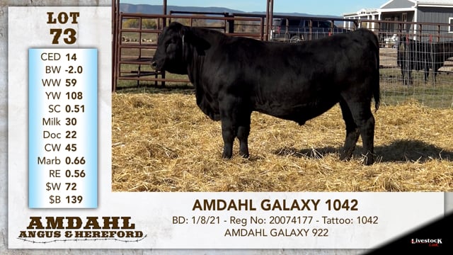 Lot #73 - AMDAHL GALAXY 1042