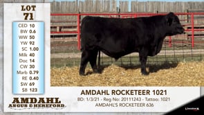 Lot #71 - AMDAHL ROCKETEER 1021