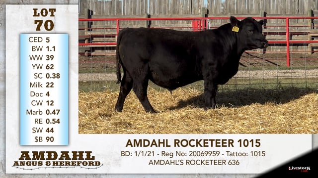 Lot #70 - AMDAHL ROCKETEER 1015