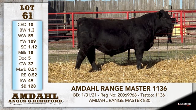 Lot #61 - AMDAHL RANGE MASTER 1136