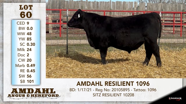 Lot #60 - AMDAHL RESILIENT 1096