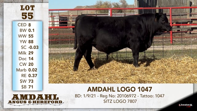 Lot #55 - AMDAHL LOGO 1047