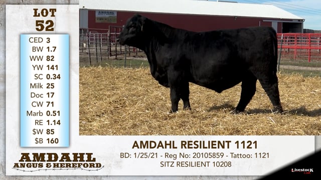 Lot #52 - AMDAHL RESILIENT 1121