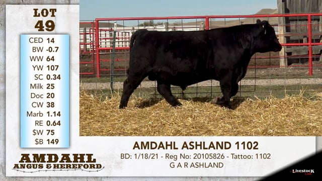 Lot #49 - AMDAHL ASHLAND 1102