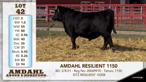 Lot #42 - AMDAHL RESILIENT 1150