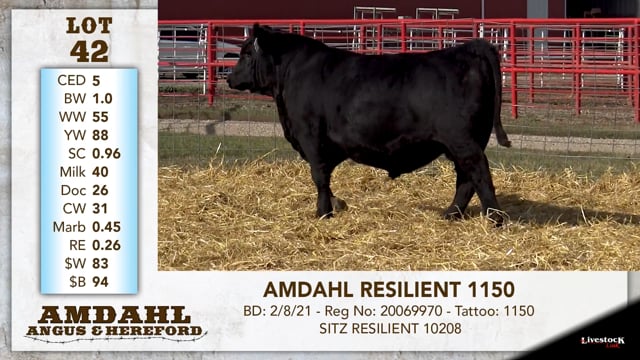 Lot #42 - AMDAHL RESILIENT 1150