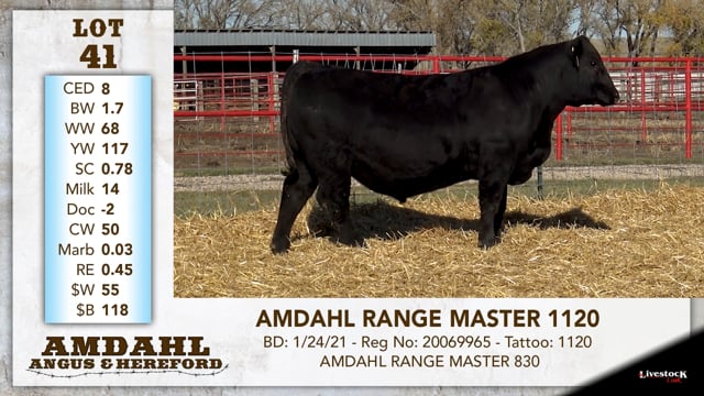 Lot #41 - AMDAHL RANGE MASTER 1120