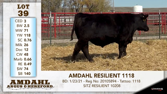 Lot #39 - AMDAHL RESILIENT 1118