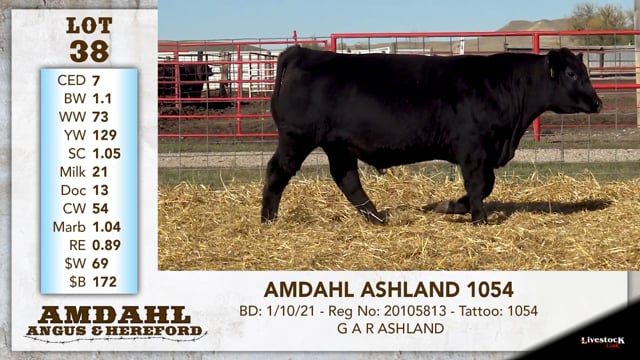 Lot #38 - AMDAHL ASHLAND 1054
