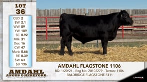 Lot #36 - AMDAHL FLAGSTONE 1106