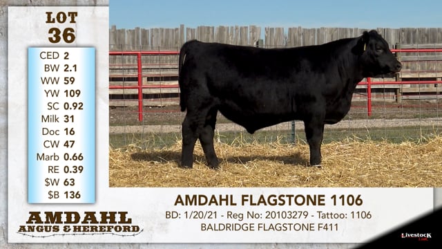 Lot #36 - AMDAHL FLAGSTONE 1106