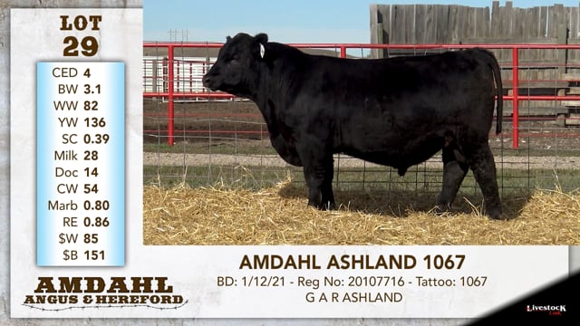 Lot #29 - AMDAHL ASHLAND 1067