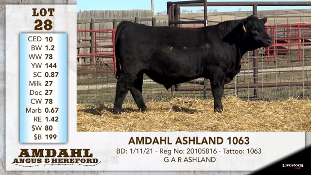 Lot #28 - AMDAHL ASHLAND 1063