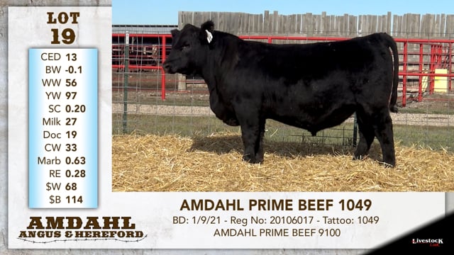 Lot #19 - AMDAHL PRIME BEEF 1049