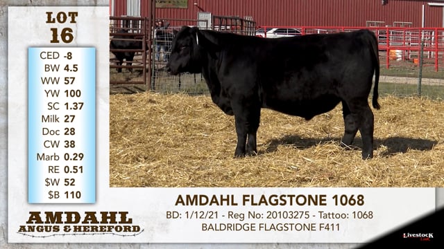 Lot #16 - AMDAHL FLAGSTONE 1068