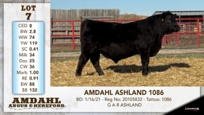 Lot #7 - AMDAHL ASHLAND 1086