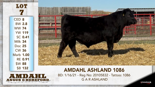 Lot #7 - AMDAHL ASHLAND 1086
