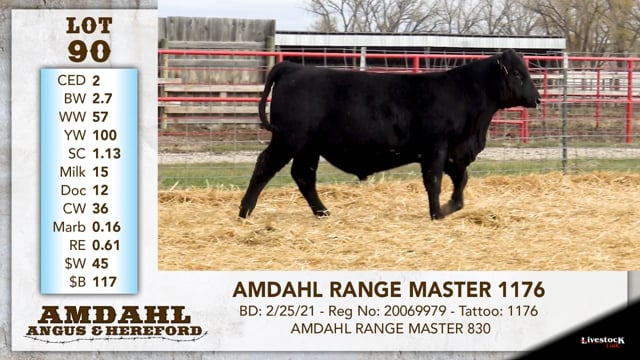Lot #90 - AMDAHL RANGE MASTER 1176 ***OUT OF SALE***