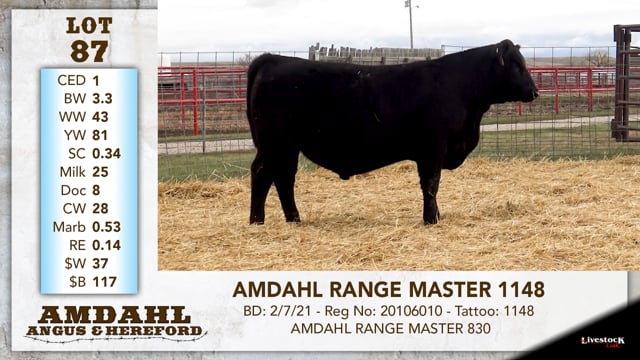 Lot #87 - AMDAHL RANGE MASTER 1148