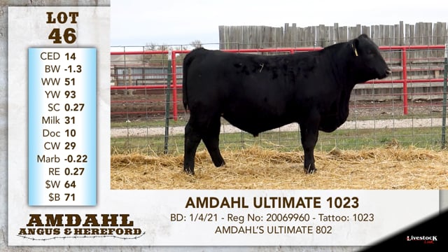 Lot #46 - AMDAHL ULTIMATE 1023