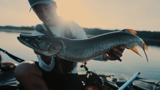 13 Fishing Kalon Blackout Spinning Reel — Discount Tackle