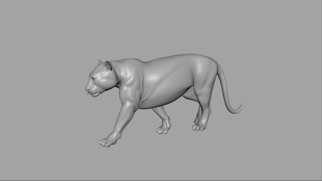 Bengal Tiger Rig