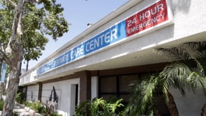 Related Embedded Video Item Thumbnail